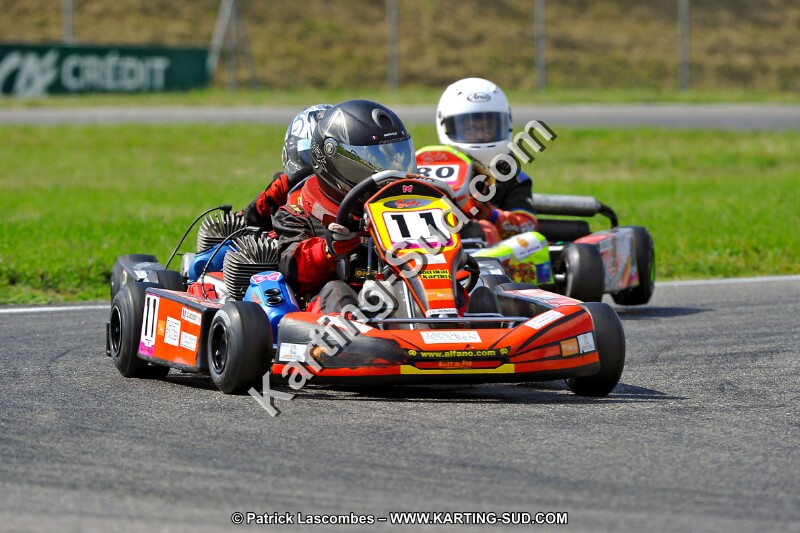 DSC_ (648).jpg